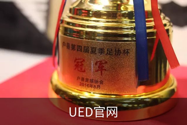 UED官网公司简介图片